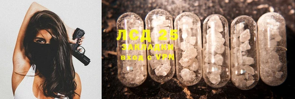 индика Нязепетровск