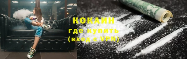 индика Нязепетровск