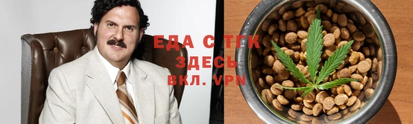 индика Нязепетровск